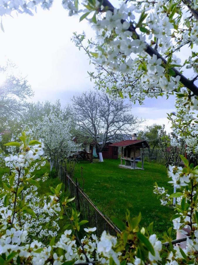 فندق Casa Stely Rîşnov المظهر الخارجي الصورة